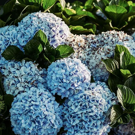 Villa Casa Do Mar - North Coast Ocean Views